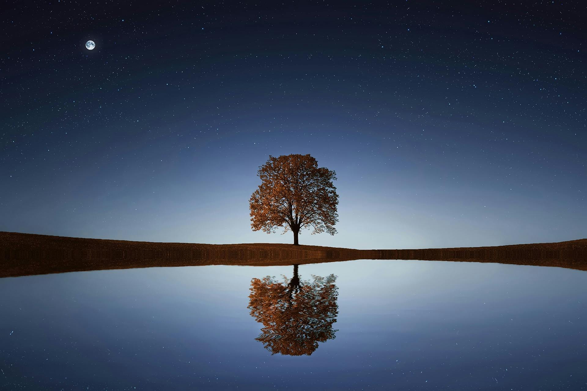 nature