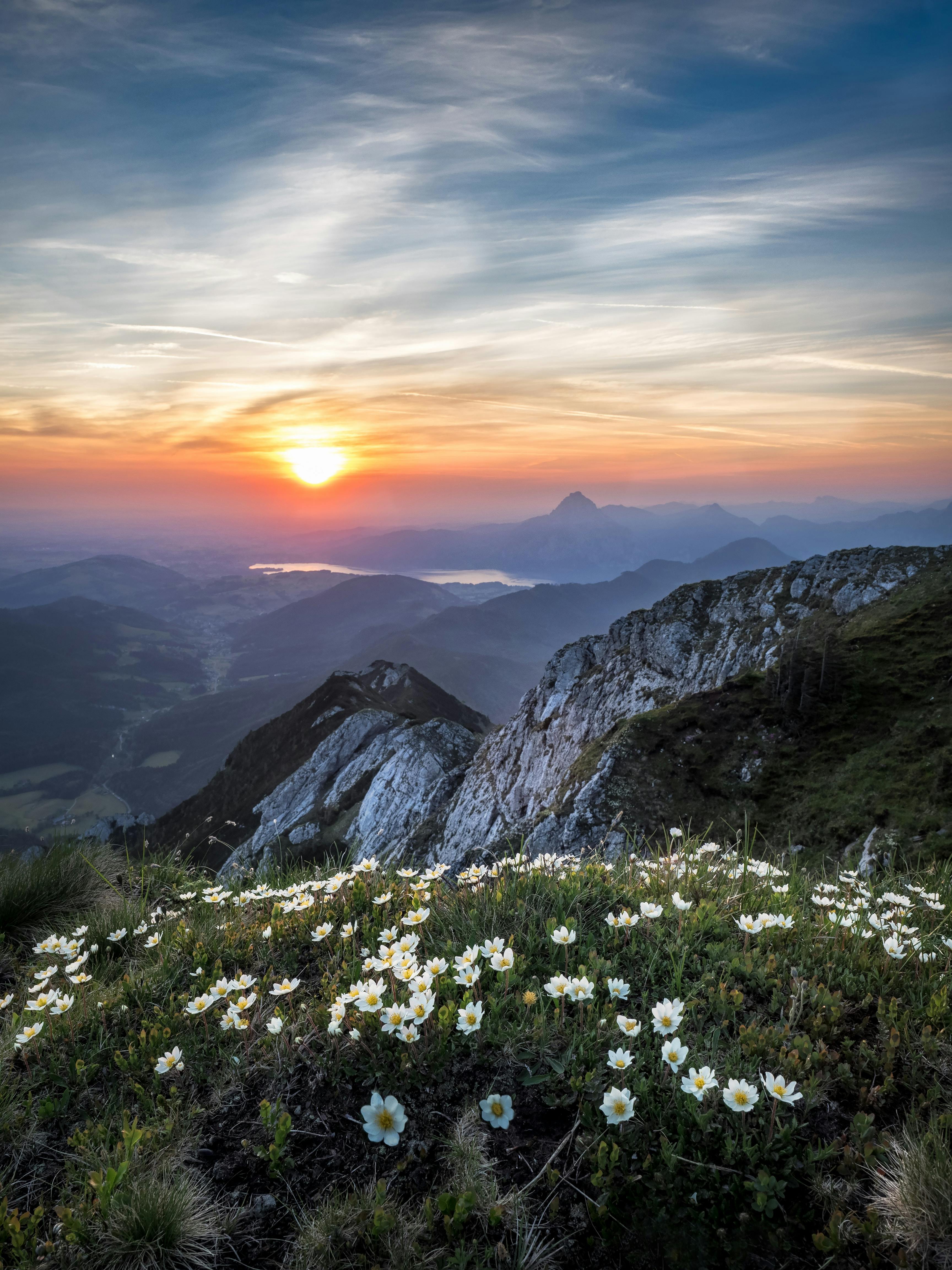 nature